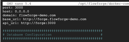"Screenshot showing domain configuration in flowforge.yml"